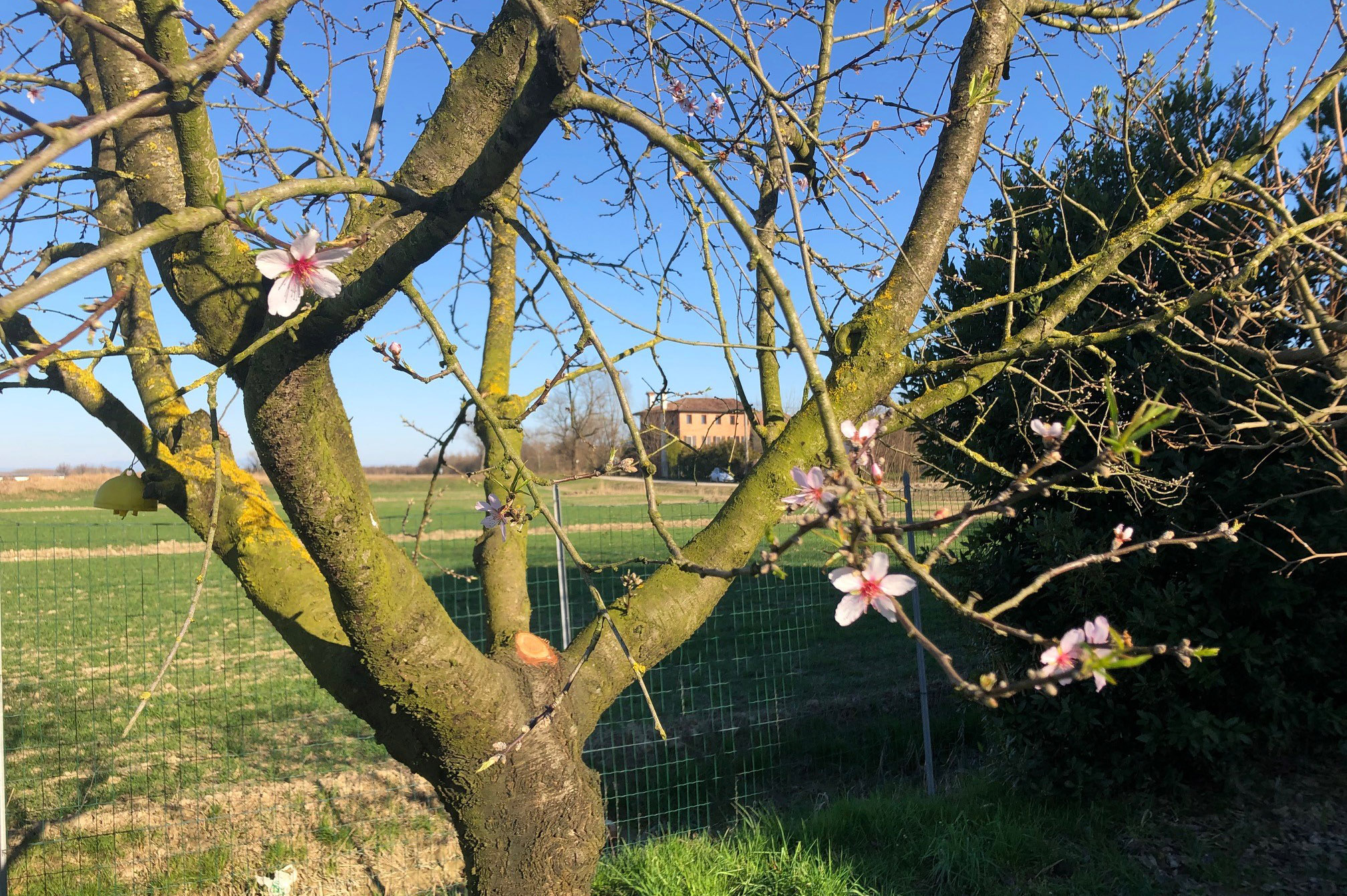 Lieke Bitter in Argentinië